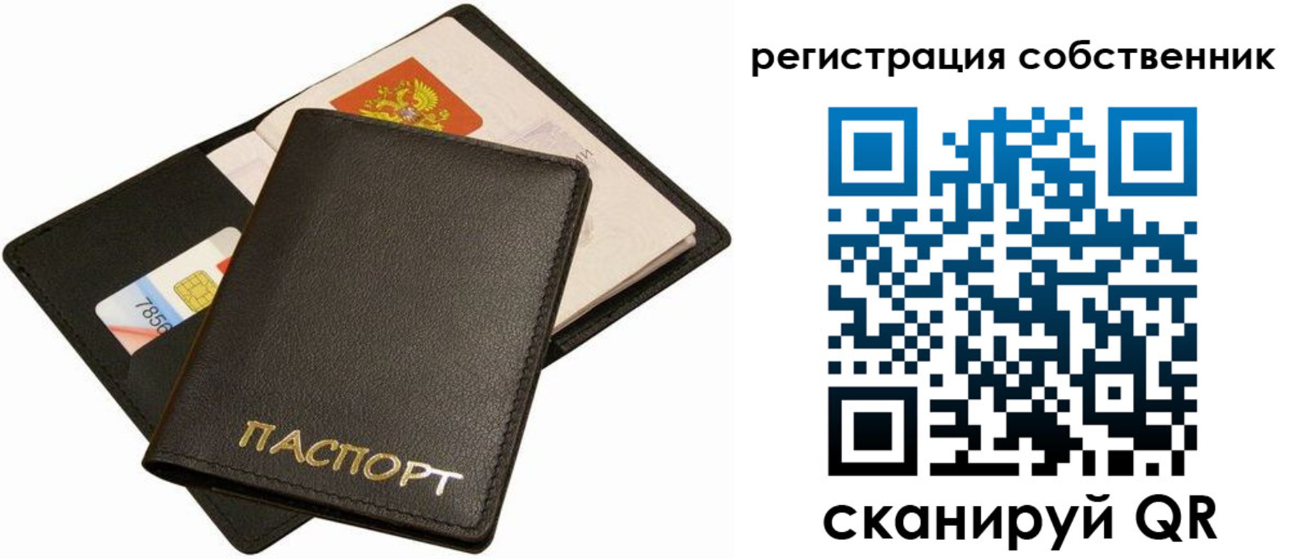 прописка паспорт в Александрове